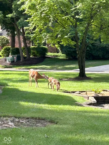 $553,900 | 8413 Catamaran Drive, Indianapolis, IN 46236