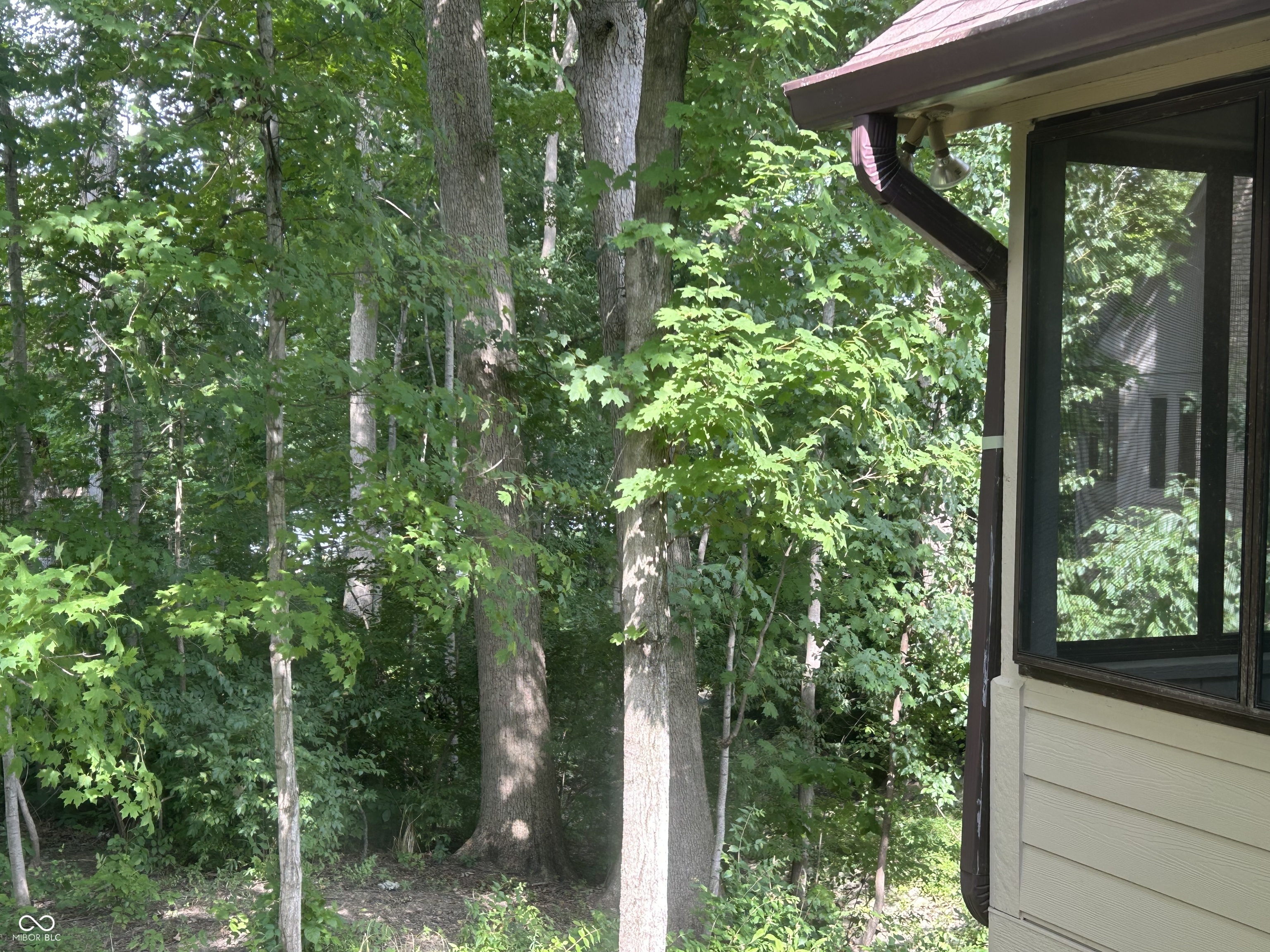 8413 Catamaran Drive Indianapolis, IN 46236 - Photo 9 of 62