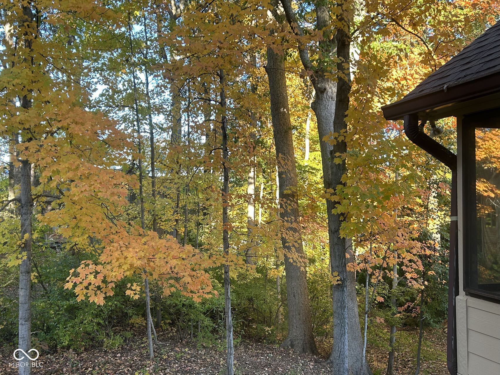 8413 Catamaran Drive Indianapolis, IN 46236 - Photo 10 of 62