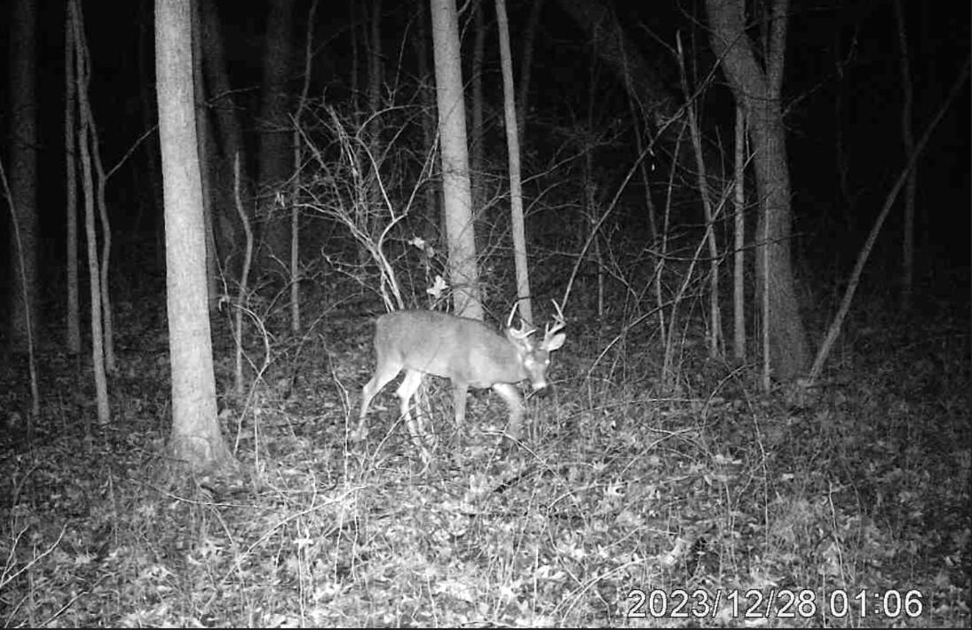 3804 Seymour Road Jackson, MI 49201 - Photo 43 of 44 Crossroads Tall Rack