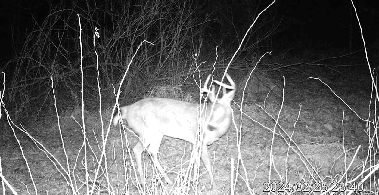 3804 Seymour Road Jackson, MI 49201 - Photo 44 of 44 Marsh Tall Rack