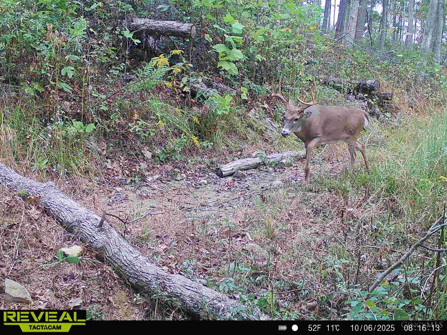 Ac Beech Fork Road Peebles, OH 45660 - Photo 30 of 49