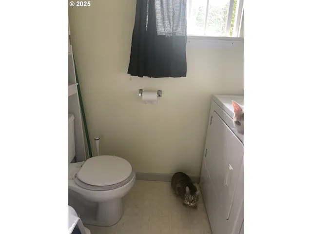 a bathroom with a toilet and a vanity