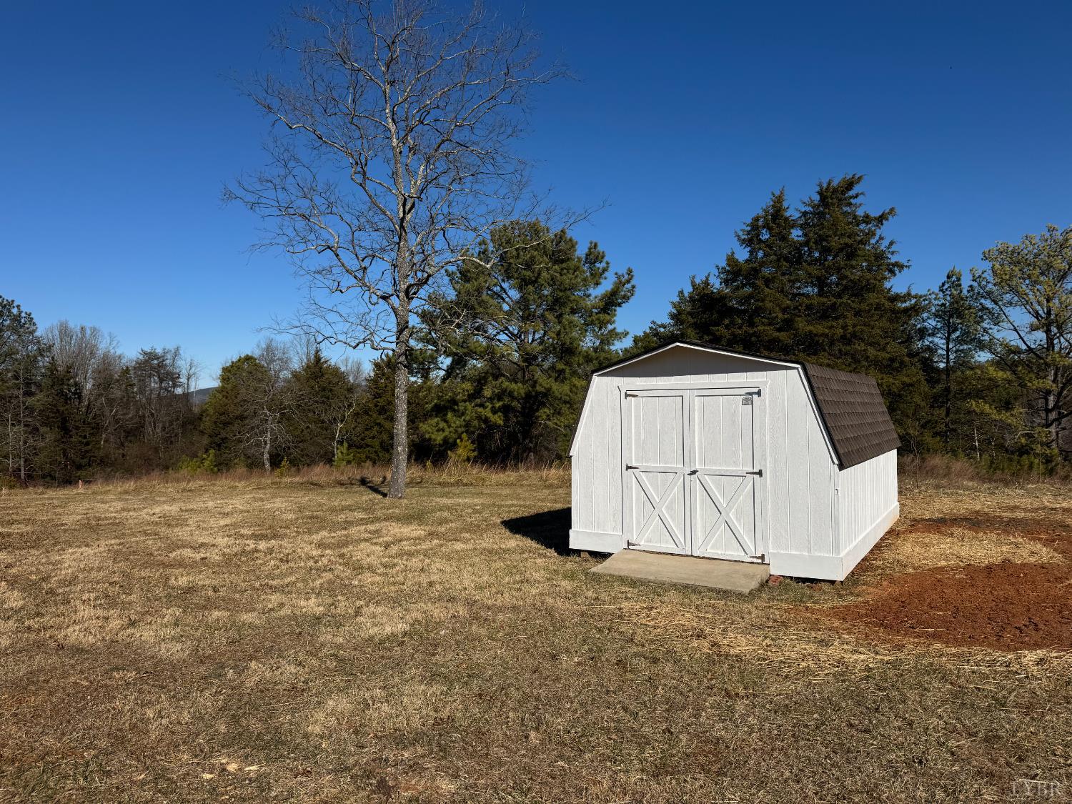 5532 Watt Abbitt Road Appomattox, VA 24522 - Photo 3 of 26 a view of backyard with large trees and wooden fence