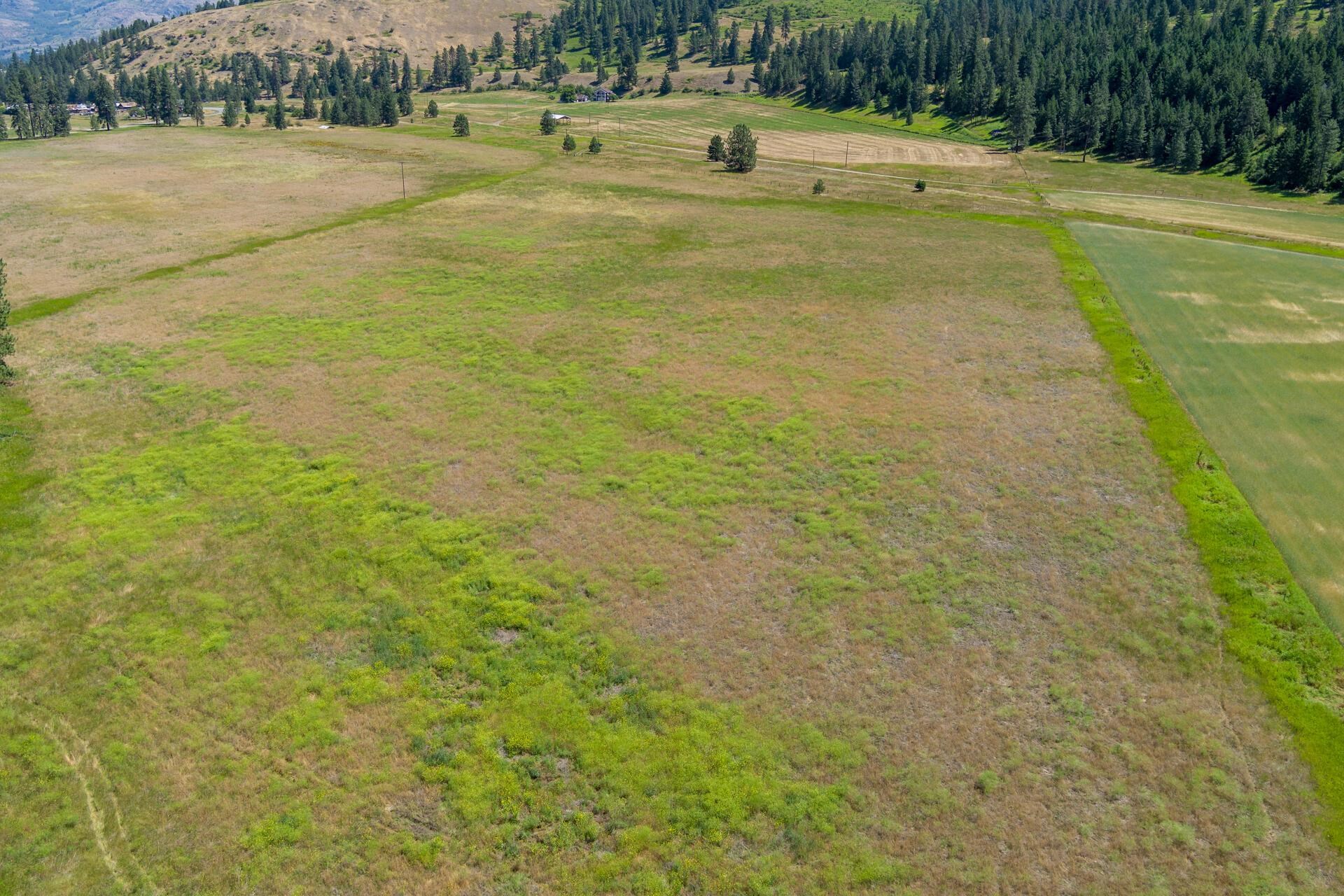 T B D Boundary Road Danville, WA 99121 - Photo 20 of 20 Gallery Image 20