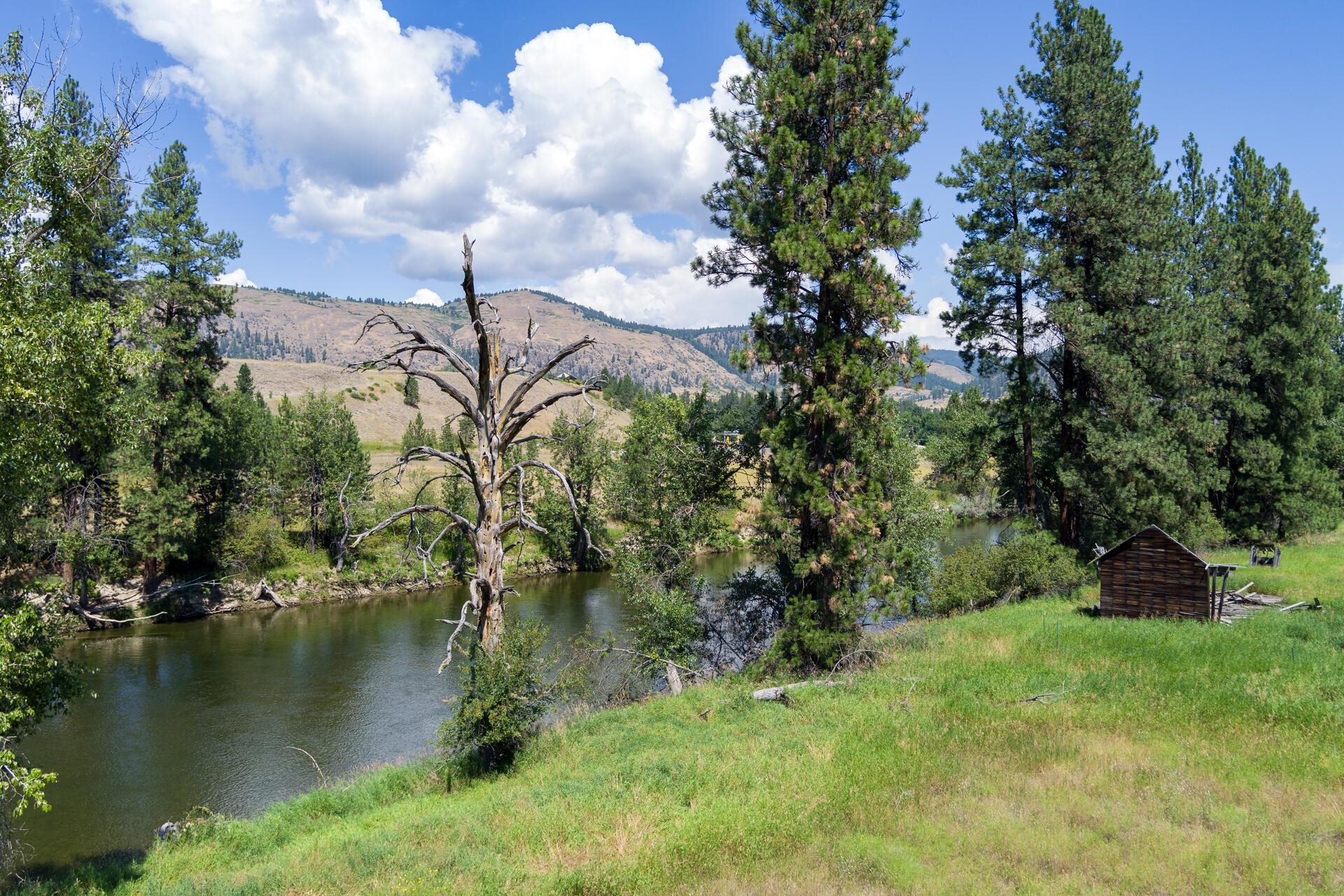 T B D Boundary Road Danville, WA 99121 - Photo 4 of 20 Gallery Image 4