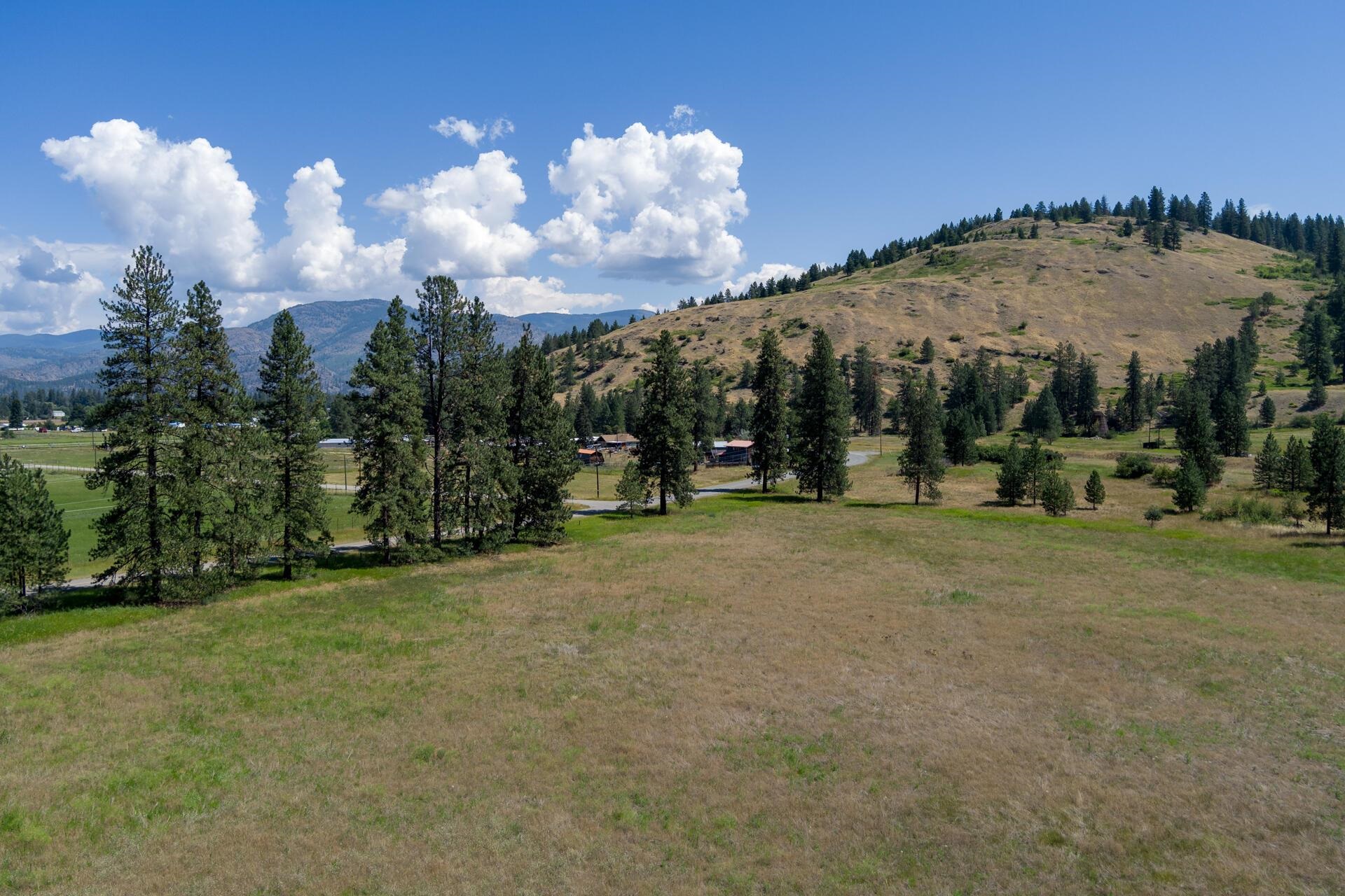 T B D Boundary Road Danville, WA 99121 - Photo 8 of 20 Gallery Image 8