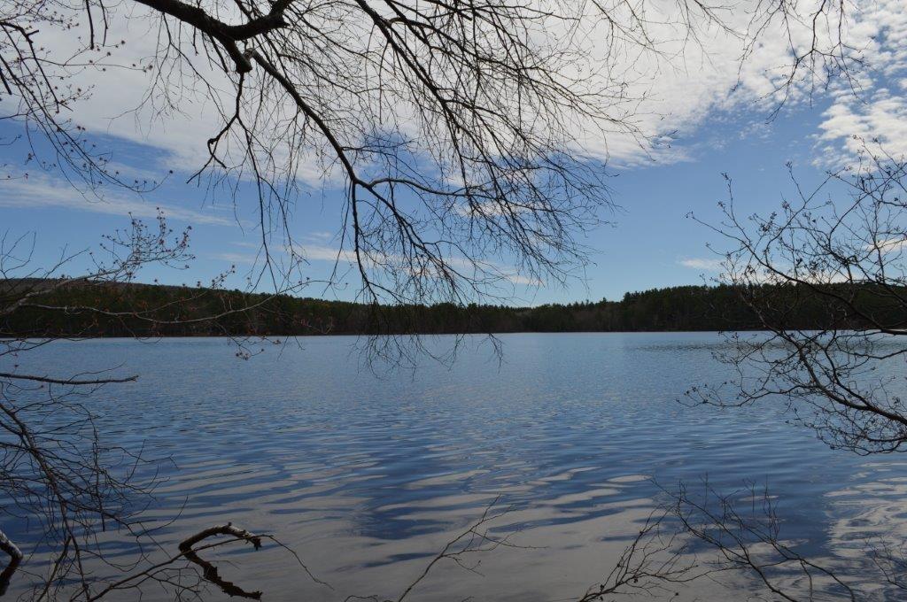 54 Ward Road North Monmouth, ME 04265 - Photo 6 of 16 Photo