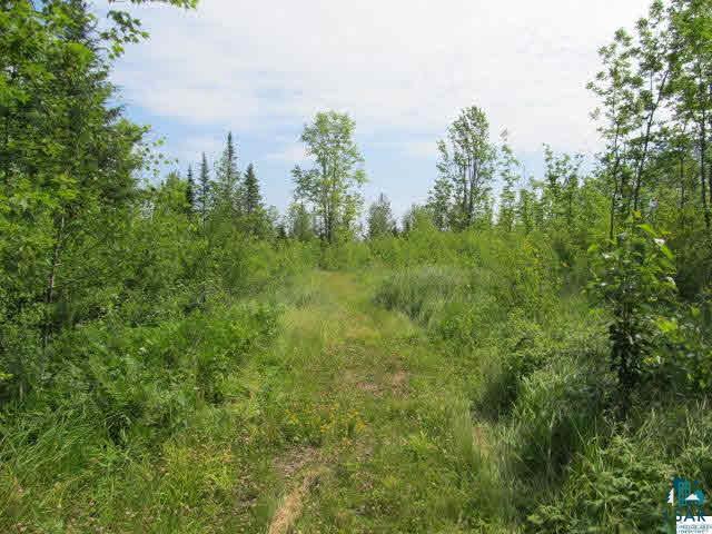 81660 Evergreen Road Port Wing, WI 54865 - Photo 14 of 25 Gallery Image 14