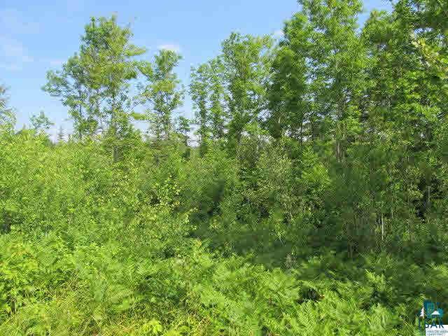 81660 Evergreen Road Port Wing, WI 54865 - Photo 15 of 25 Gallery Image 15