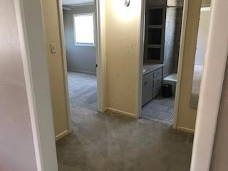 3101 37th Street Lubbock, TX 79413 - Photo 4 of 9 Photo 4