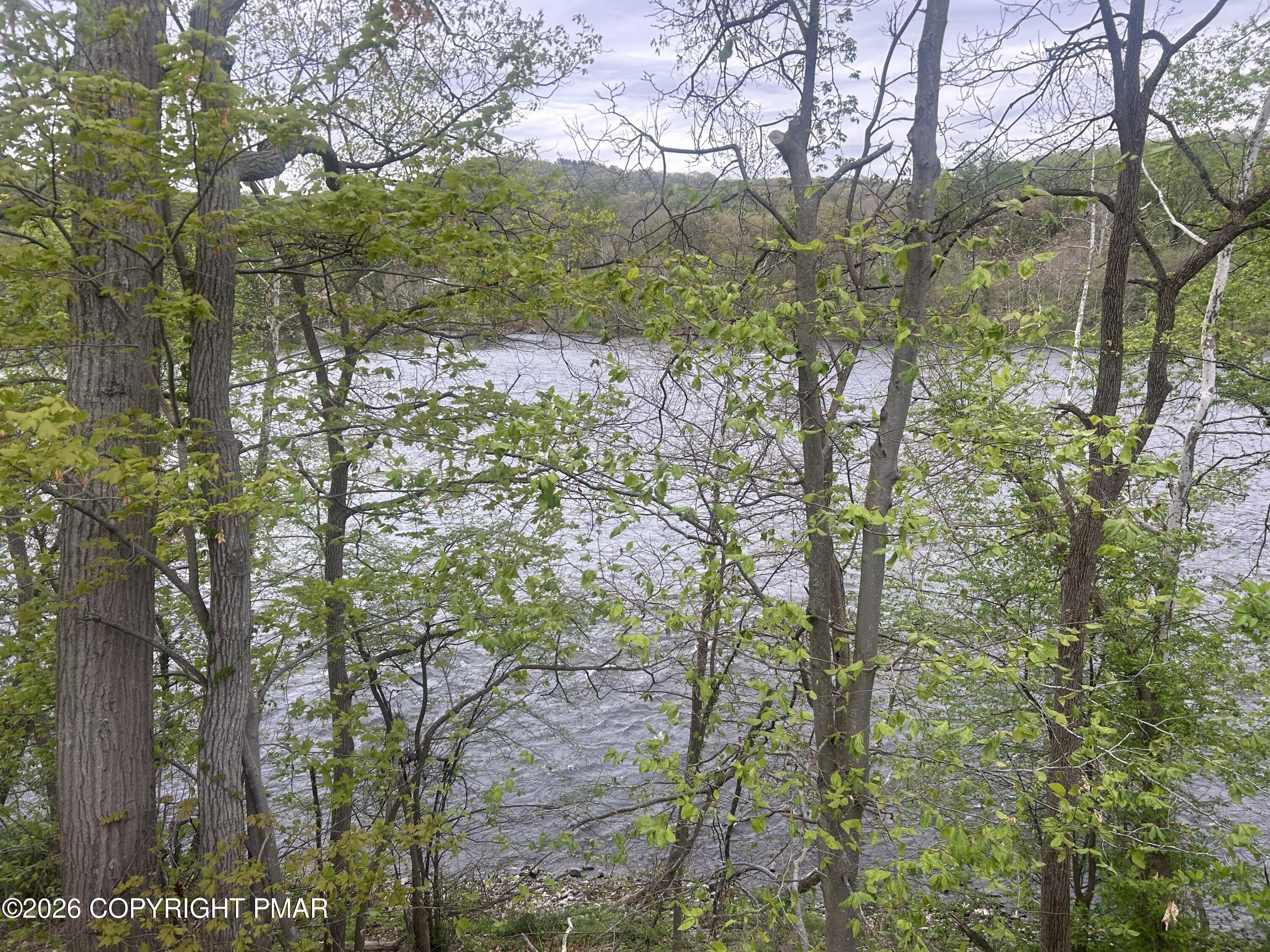 4379 River Road Mount Bethel, PA 18343 - Photo 12 of 48 a view of a forest