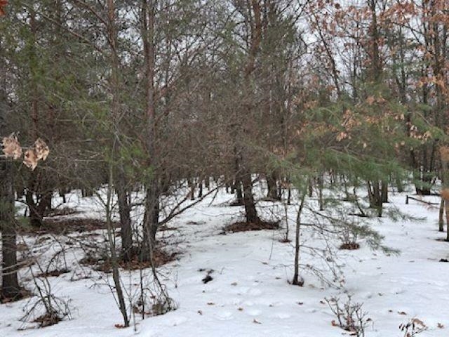 Lot B West 14 Road Mesick, MI 49668 - Photo 7 of 37