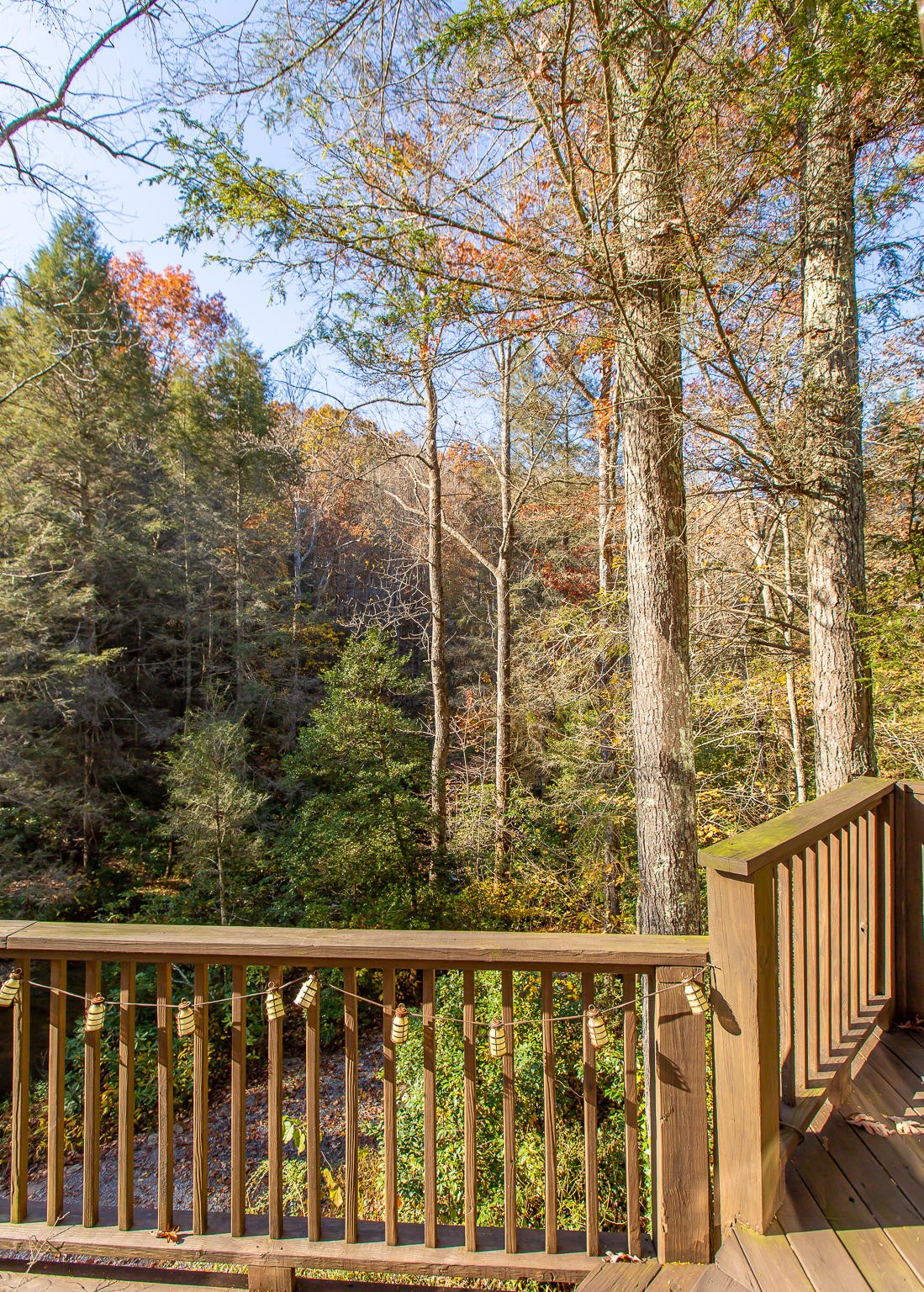 6401 Sawyer Road Signal Mountain, TN 37377 - Photo 49 of 60 Gallery Image 49