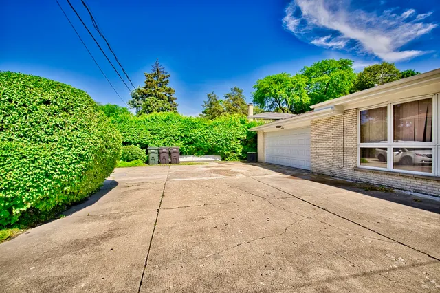 a view of a backyard with potted plants