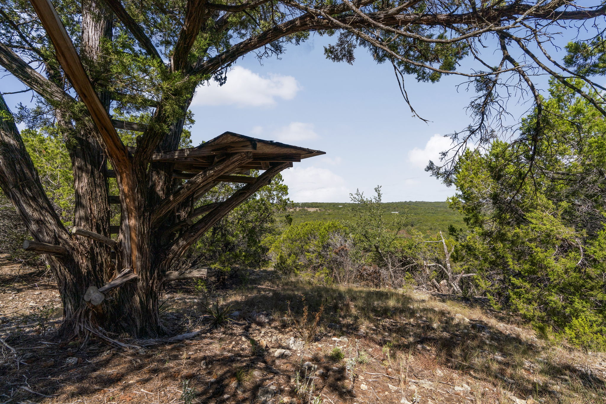 1930 South Rainbow Ranch Road Wimberley, TX 78676 - Photo 22 of 40