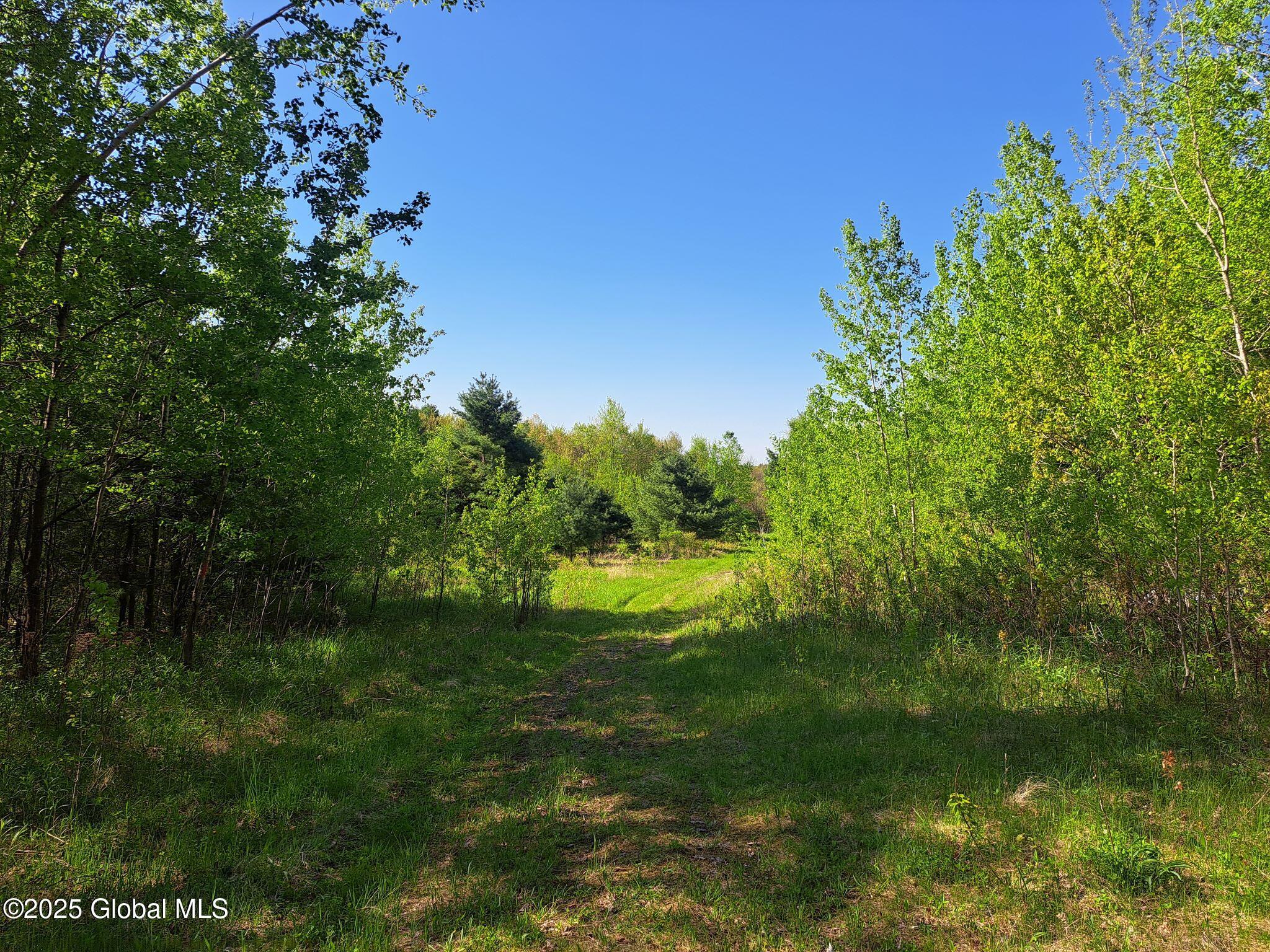 851 Bald Mountain Road Greenwich, NY 12834 - Photo 11 of 54 12 Access Road