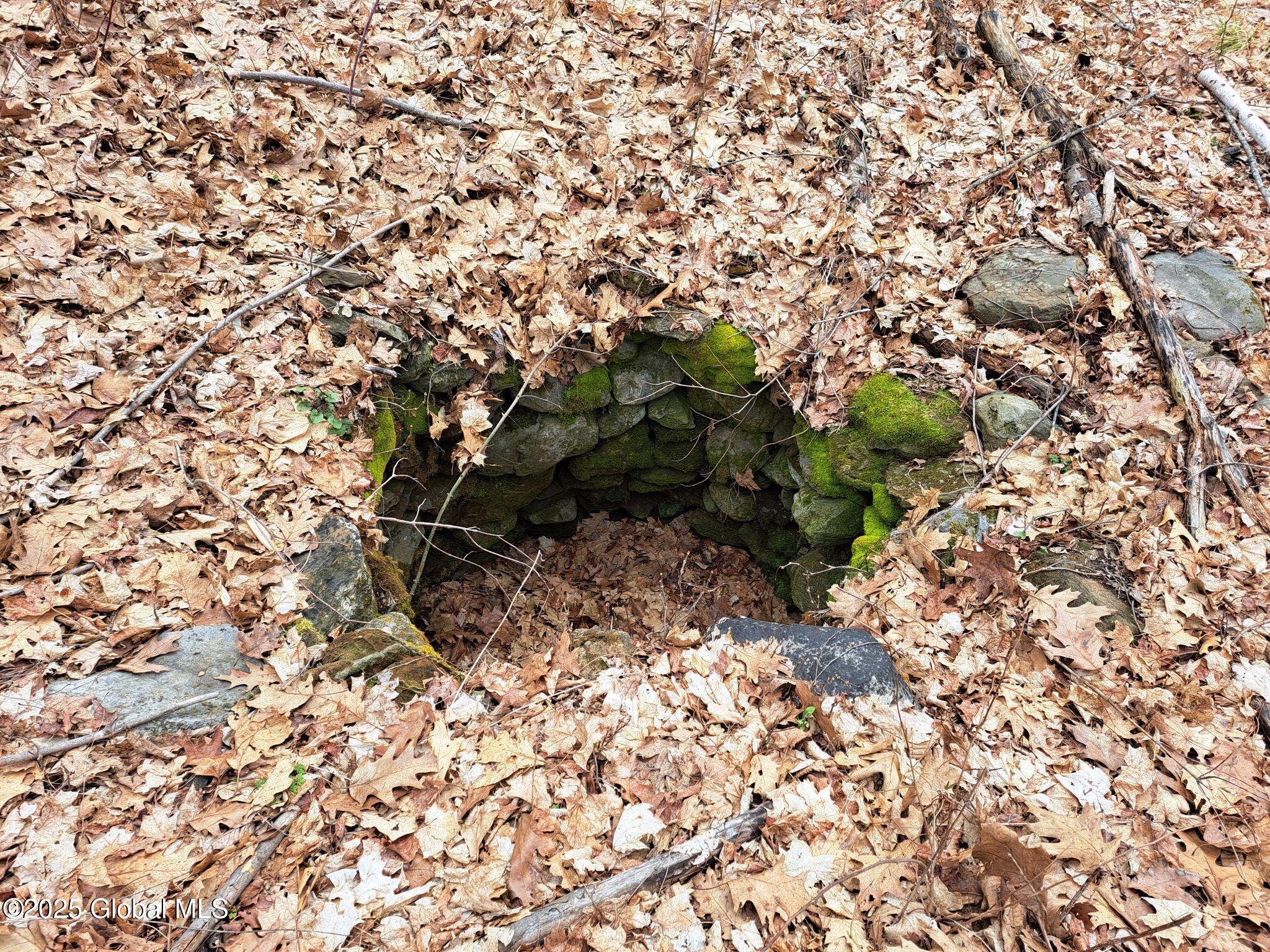 851 Bald Mountain Road Greenwich, NY 12834 - Photo 29 of 54 30 Old Dug Well