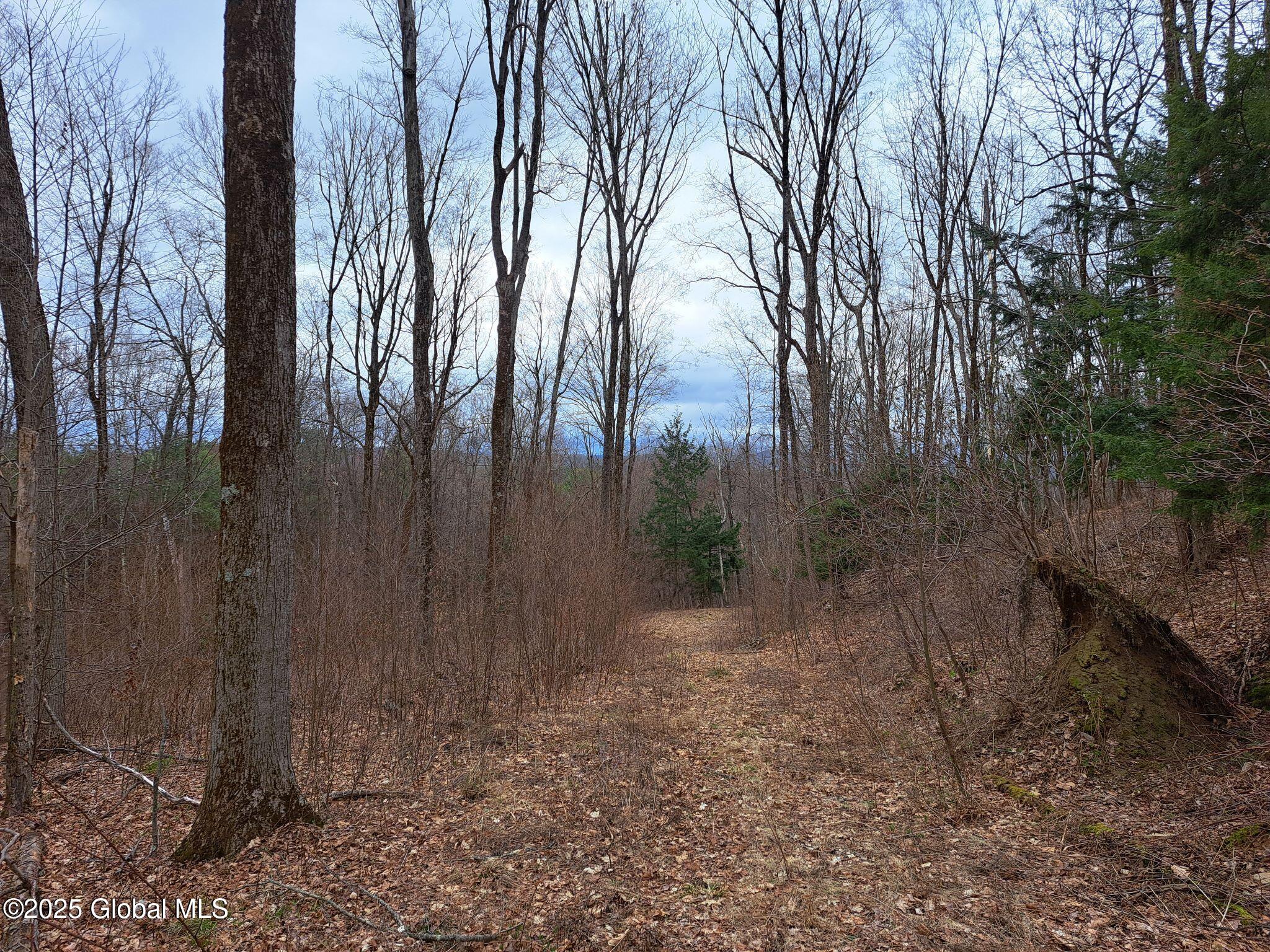 851 Bald Mountain Road Greenwich, NY 12834 - Photo 3 of 54 04 ATV Trail