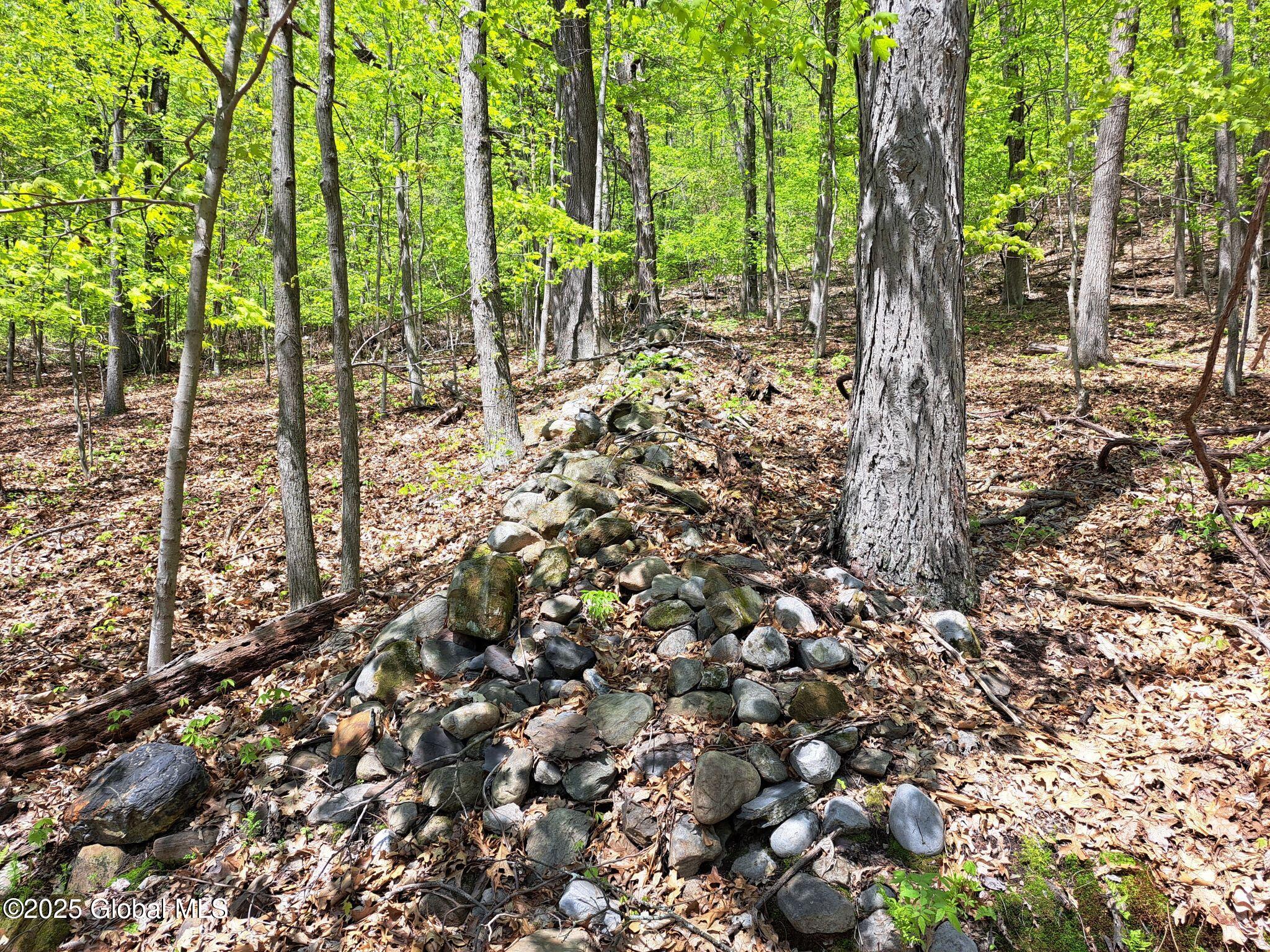 851 Bald Mountain Road Greenwich, NY 12834 - Photo 45 of 54 45 Stone Wall
