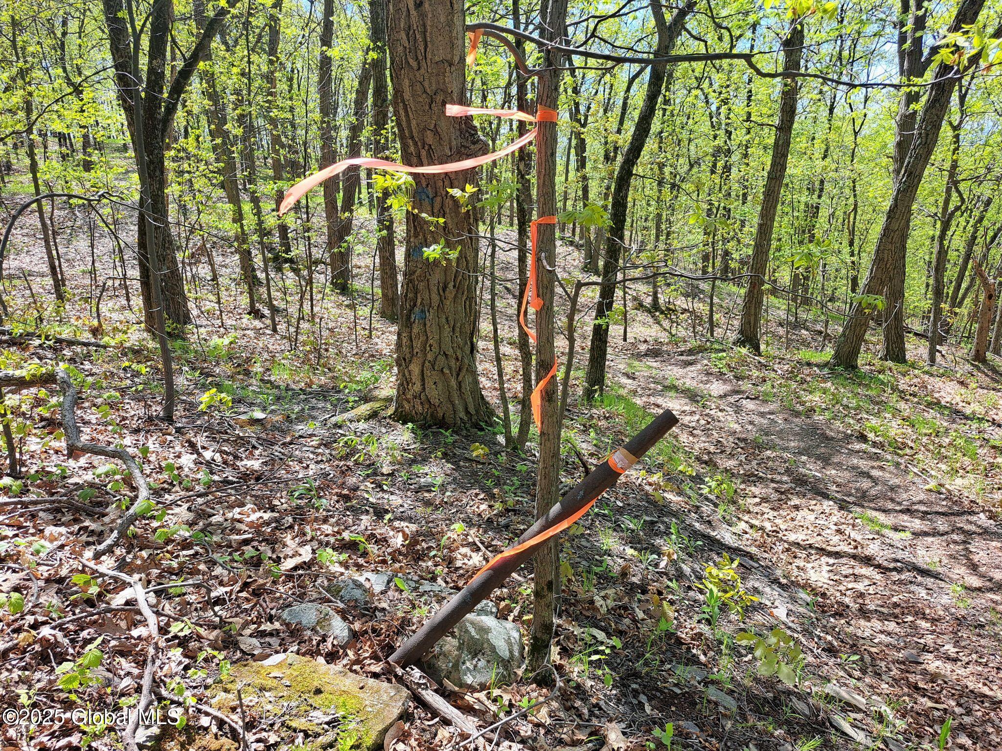 851 Bald Mountain Road Greenwich, NY 12834 - Photo 47 of 54 47 Corner Pipe