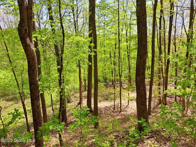 $269,900 | 851 Bald Mountain Road, Greenwich, NY 12834