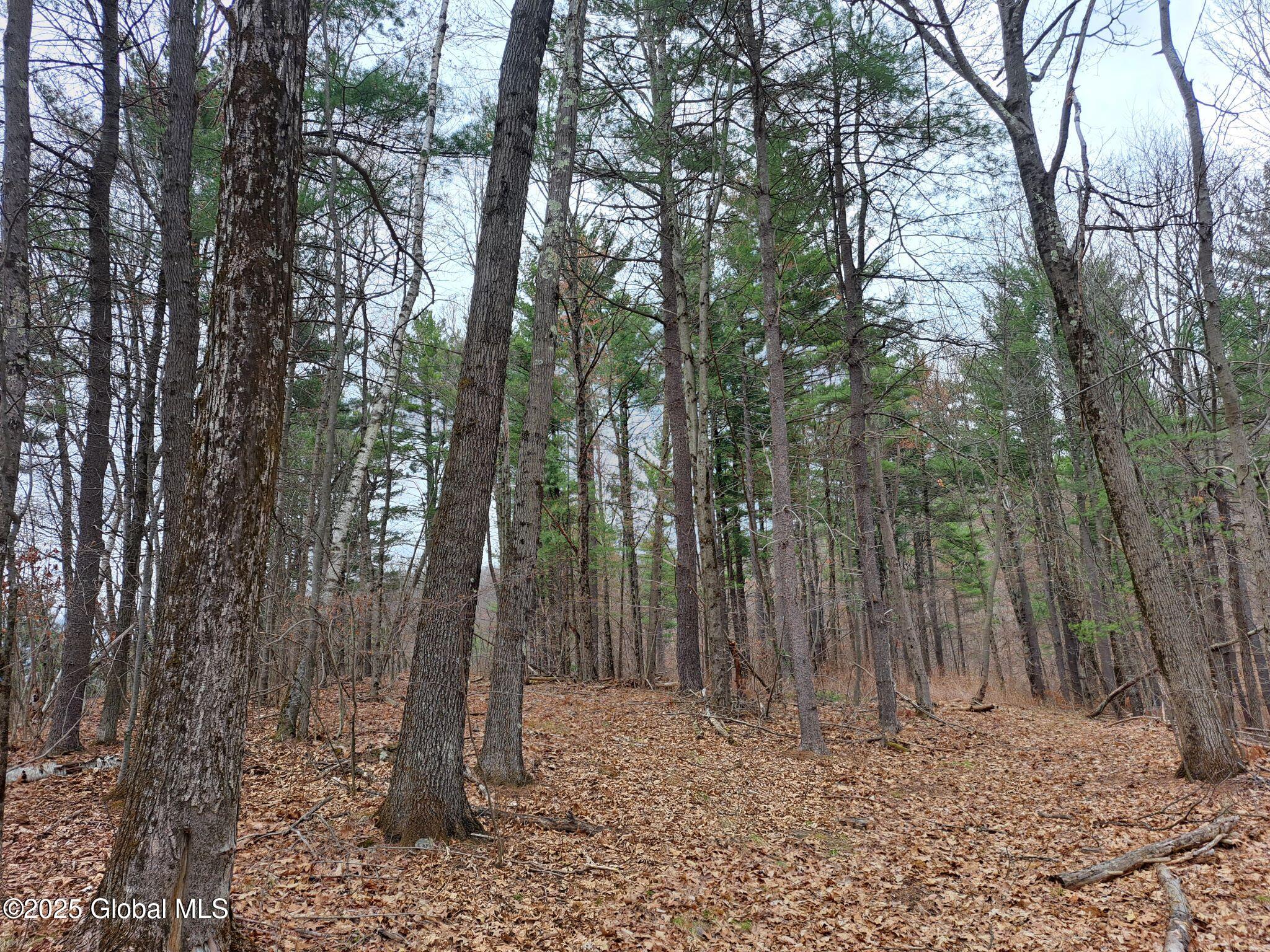 851 Bald Mountain Road Greenwich, NY 12834 - Photo 7 of 54 08 More Sugar Maples