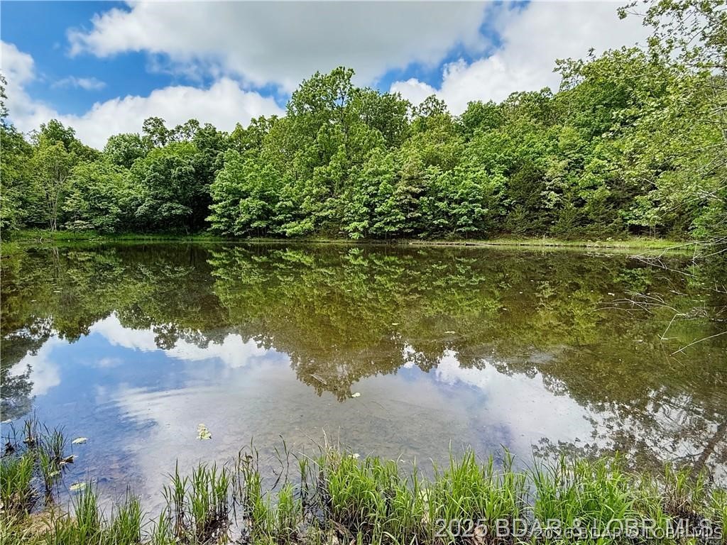 29601 Bear Road Richland, MO 65556 - Photo 42 of 42 Spring Fed Pond (appx 1 acre)