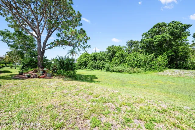 a view of a garden with a tree