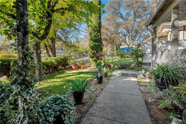 a view of a garden with plants