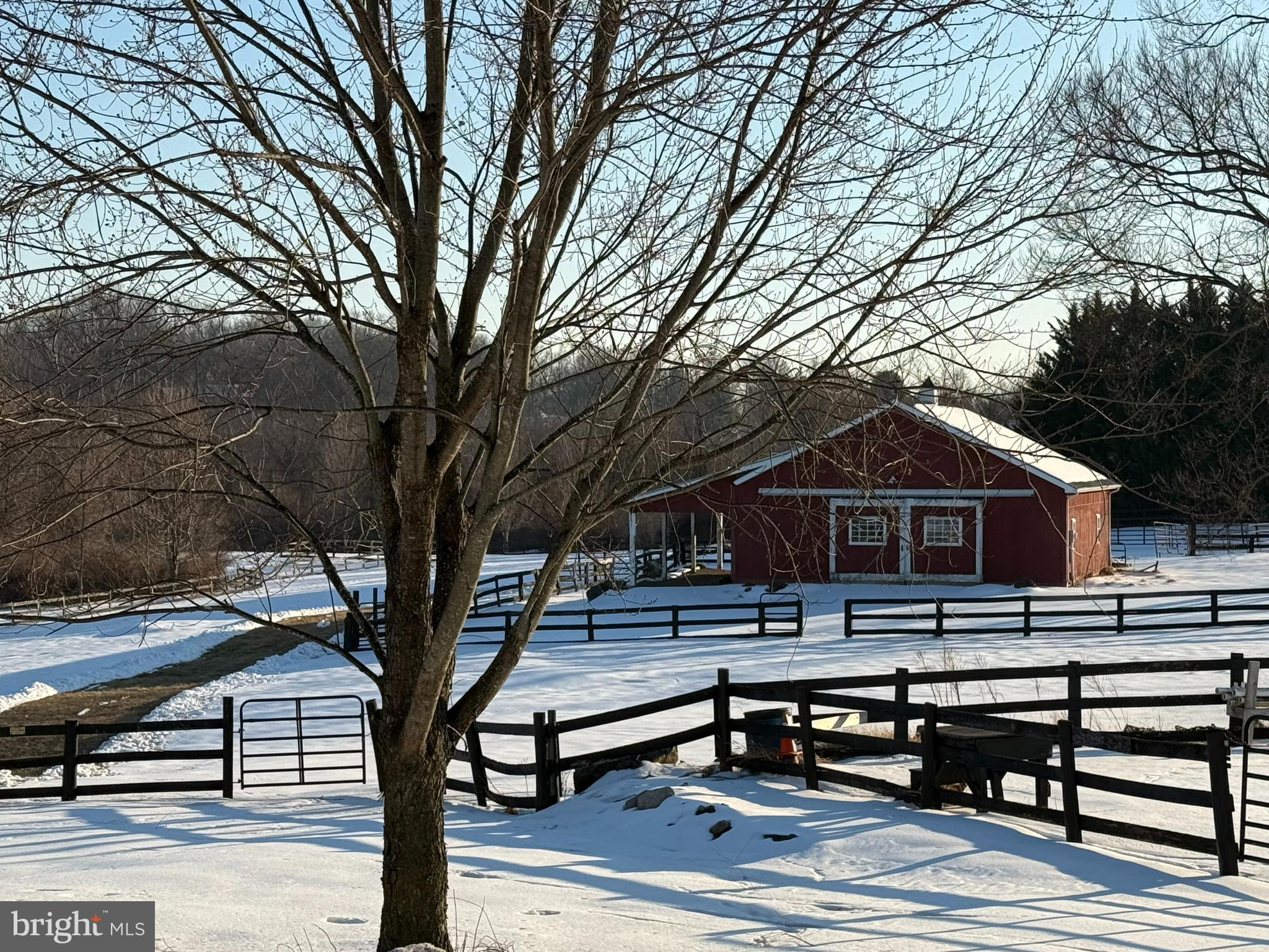 240 Glendobbin Road Winchester, VA 22603 - Photo 2 of 58 Multiple horse paddocks