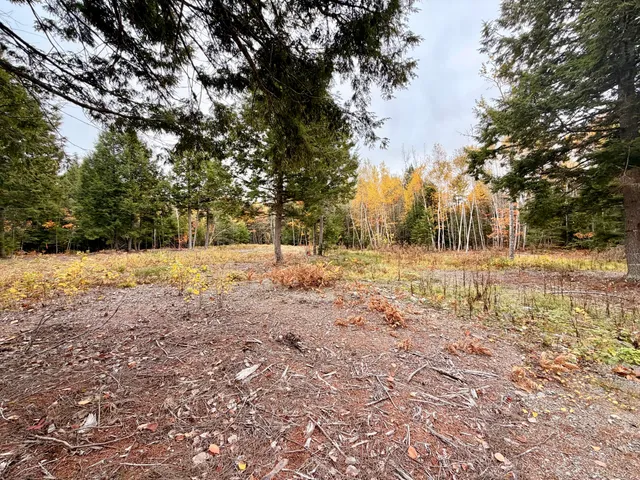 $85,000 | 45 Bass Overlook, Waltham, ME 04605