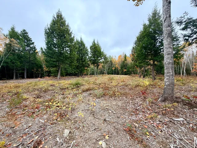 $85,000 | 45 Bass Overlook, Waltham, ME 04605