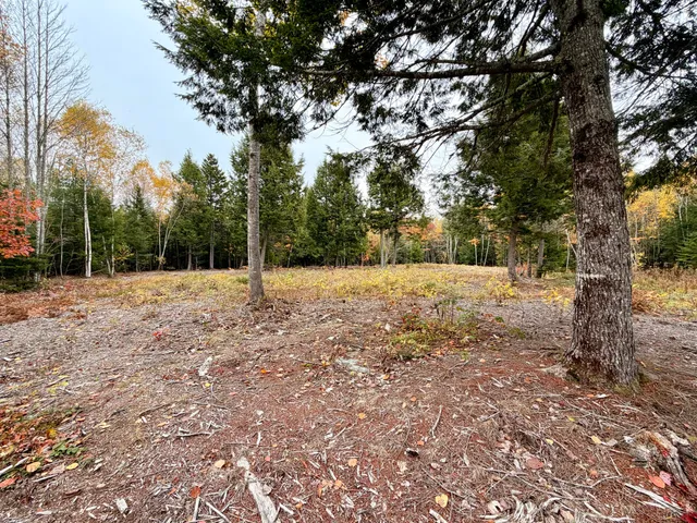 $85,000 | 45 Bass Overlook, Waltham, ME 04605