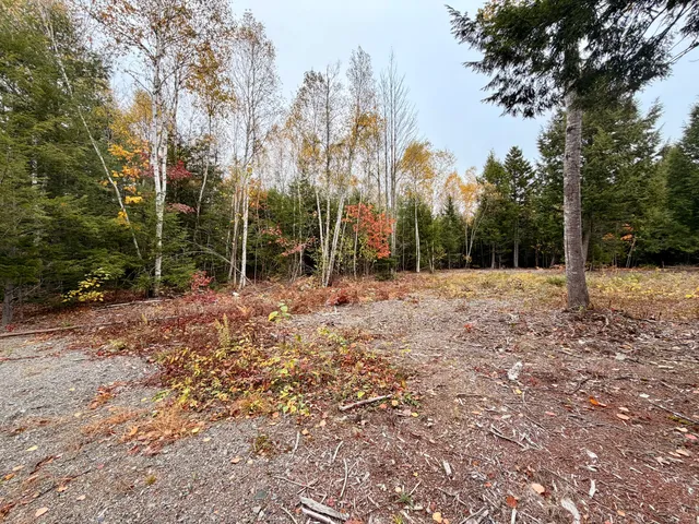$85,000 | 45 Bass Overlook, Waltham, ME 04605