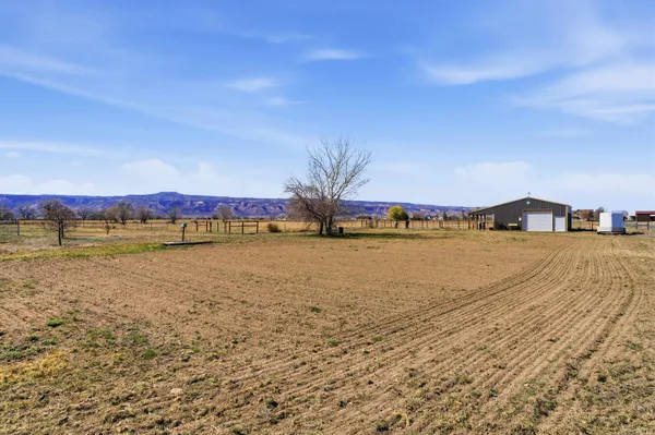 $949,000 | 1081 20 Road, Fruita, CO 81521