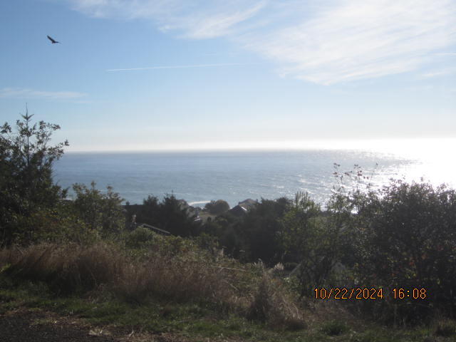 60 Spruce Road Shelter Cove, CA 95589 - Photo 5 of 21
