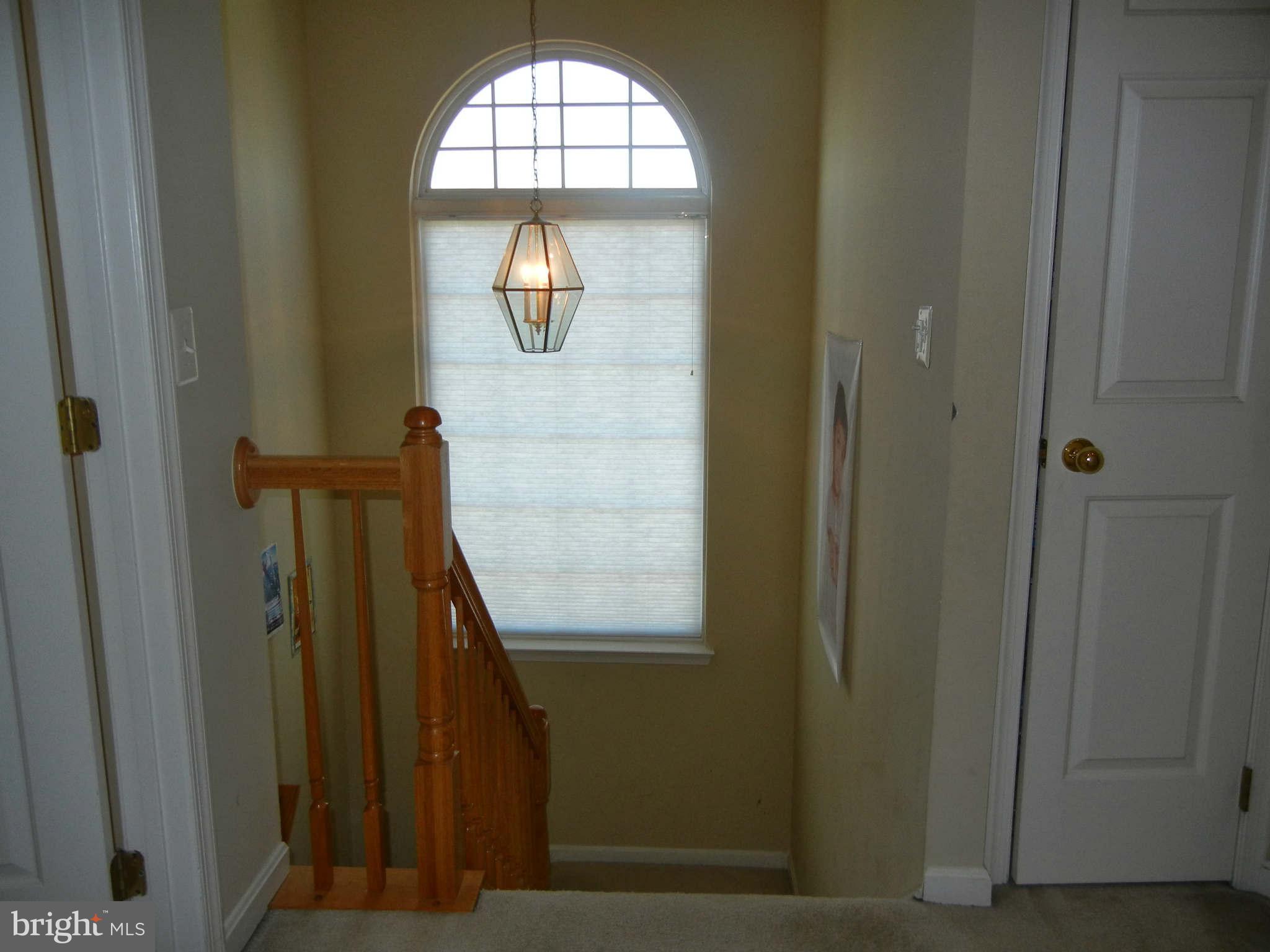 43536 Gabriel Square Chantilly, VA 20152 - Photo 12 of 25 Steps down