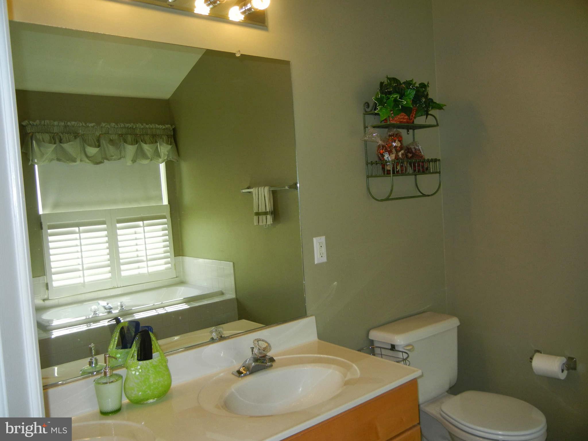 43536 Gabriel Square Chantilly, VA 20152 - Photo 16 of 25 Bath (Master)