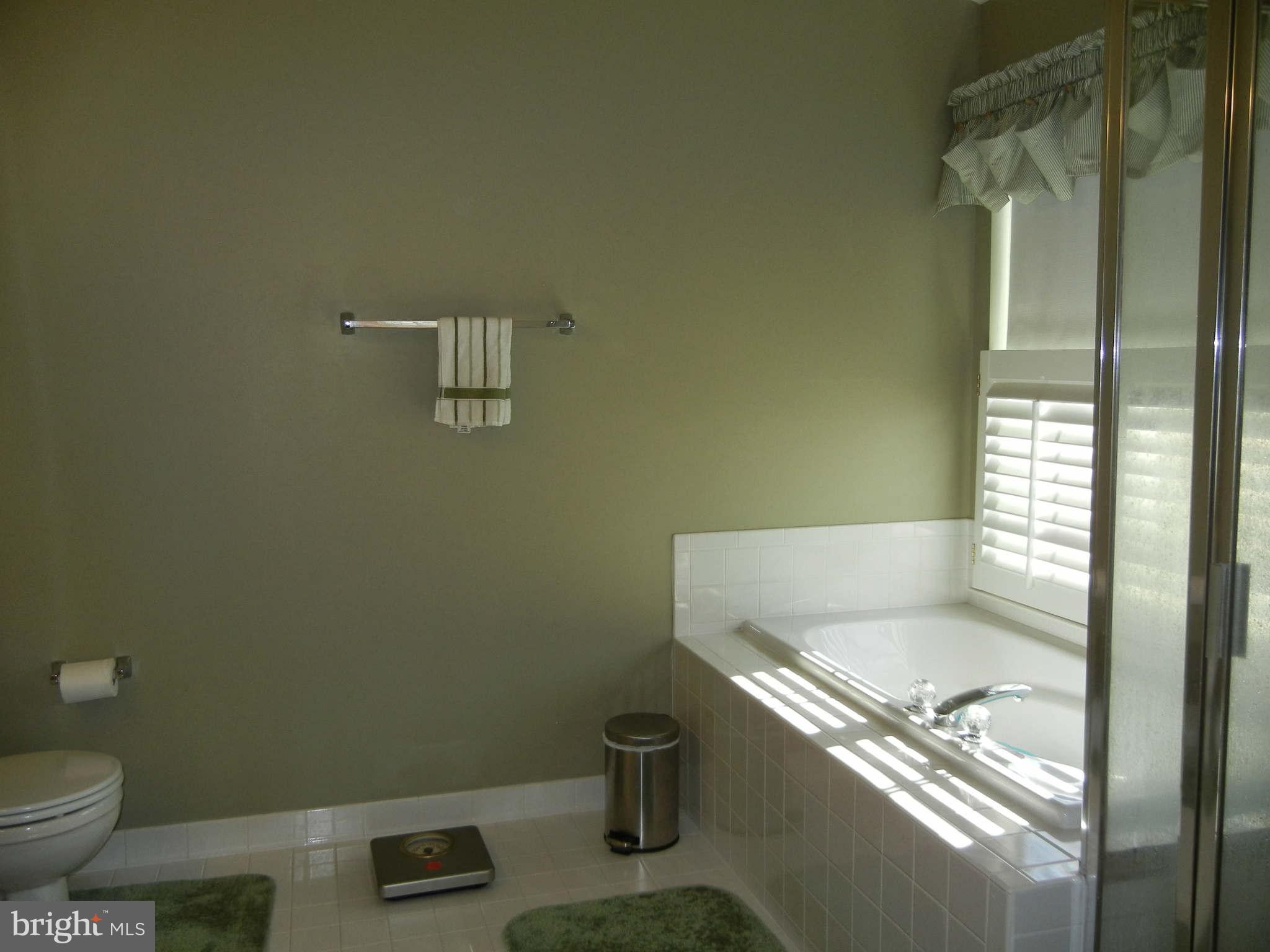 43536 Gabriel Square Chantilly, VA 20152 - Photo 17 of 25 Bath (Master)