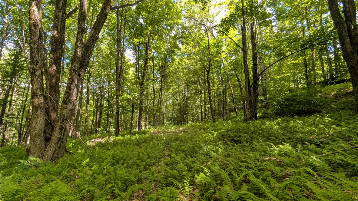 201 Sunrise Mountain Road Kortright, NY 13739 - Photo 33 of 49