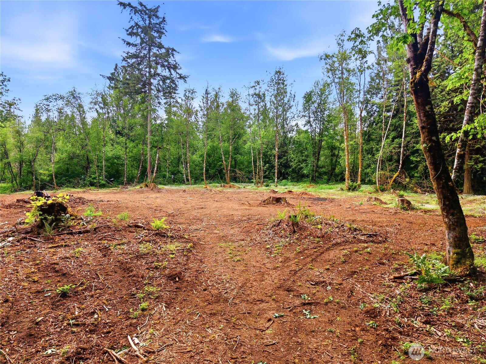 210 Vermillion Road Chehalis, WA 98532 - Photo 4 of 18 a view of outdoor space with trees