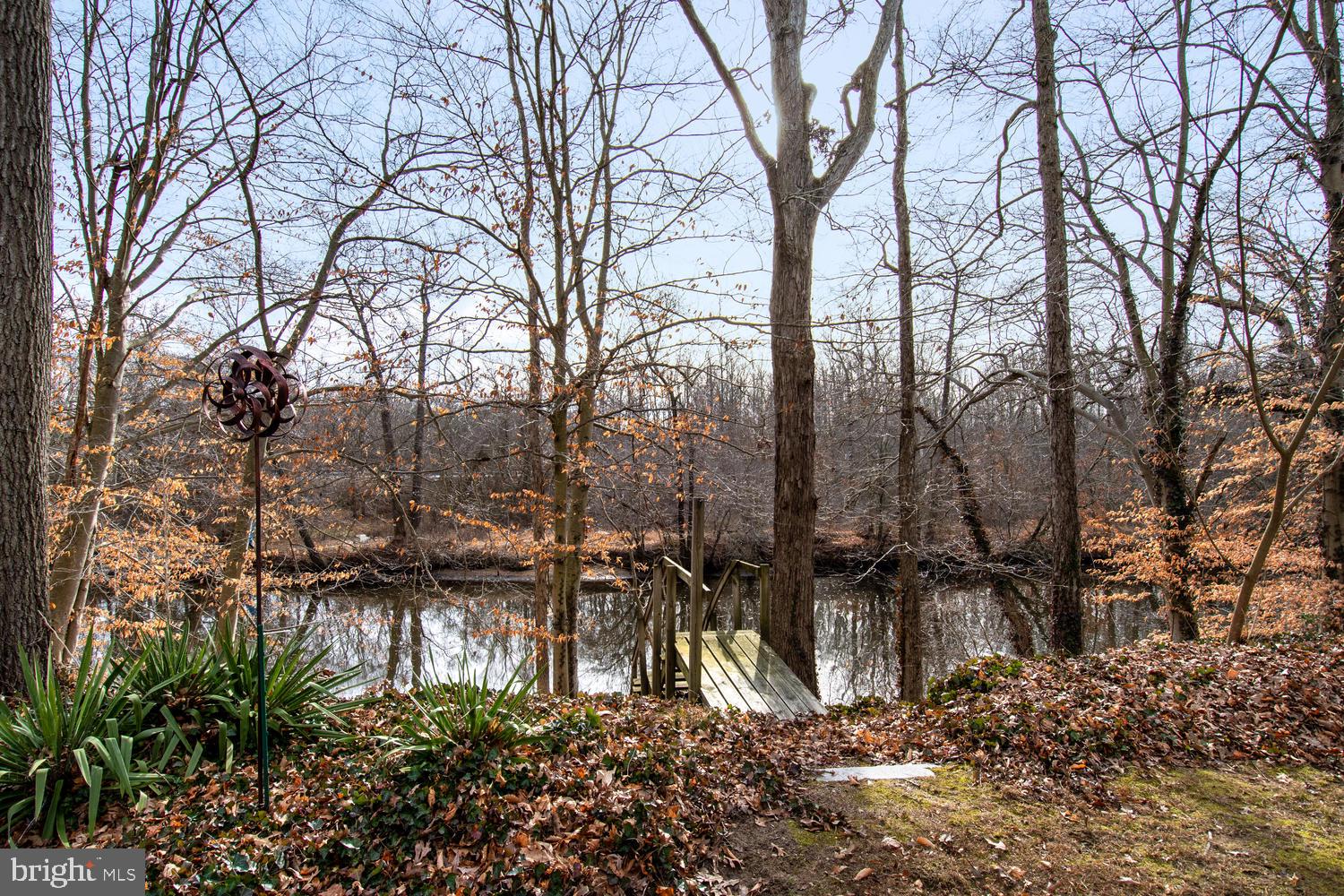 31709 West Edge Road Millington, MD 21651 - Photo 11 of 35 This is your backyard!
