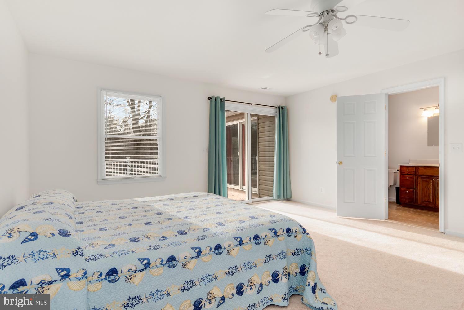 31709 West Edge Road Millington, MD 21651 - Photo 30 of 35 Second huge bedroom