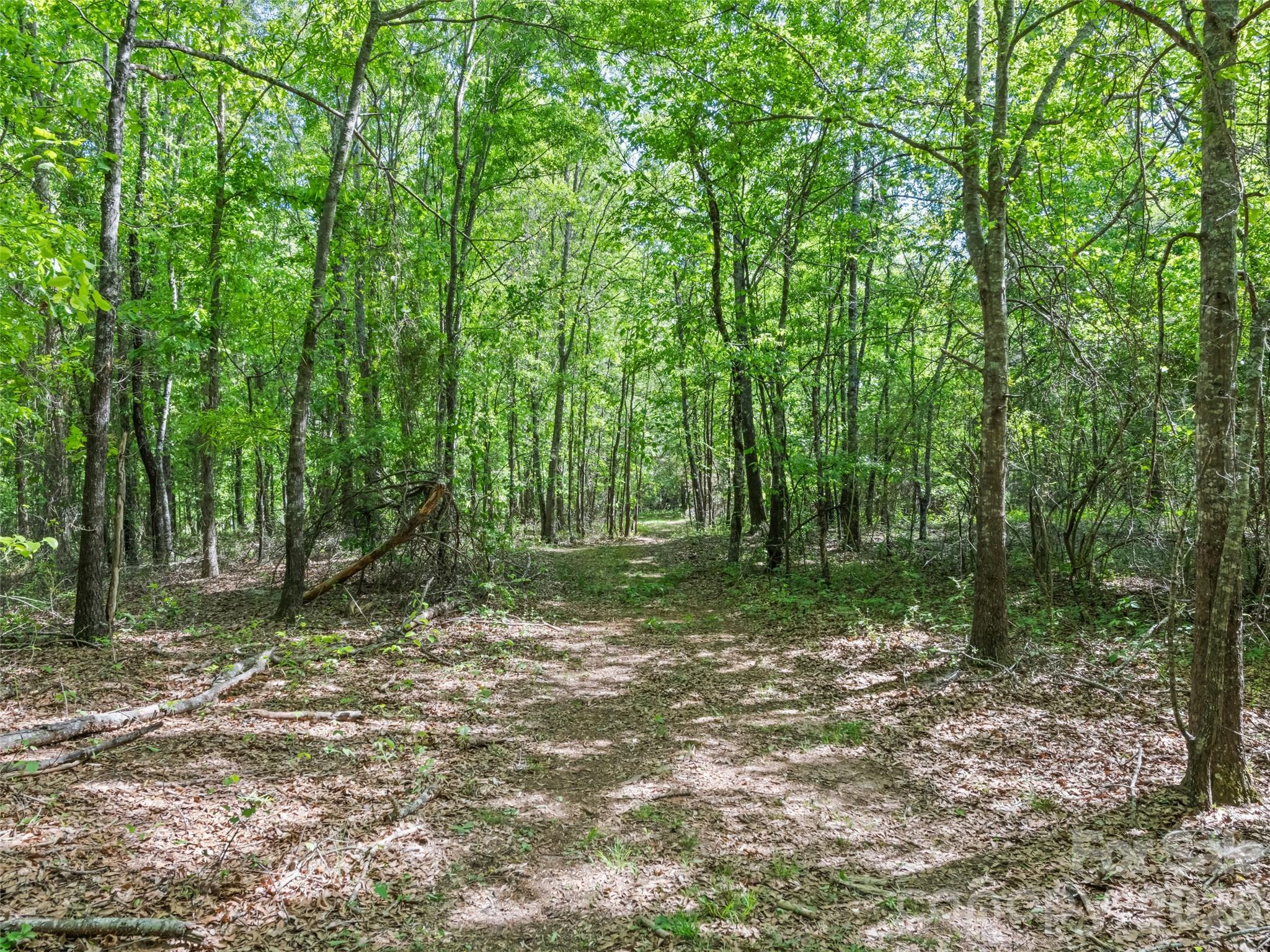 311 Soco Gap Road Ellenboro, NC 28040 - Photo 12 of 24 a big yard with lots of green space and trees