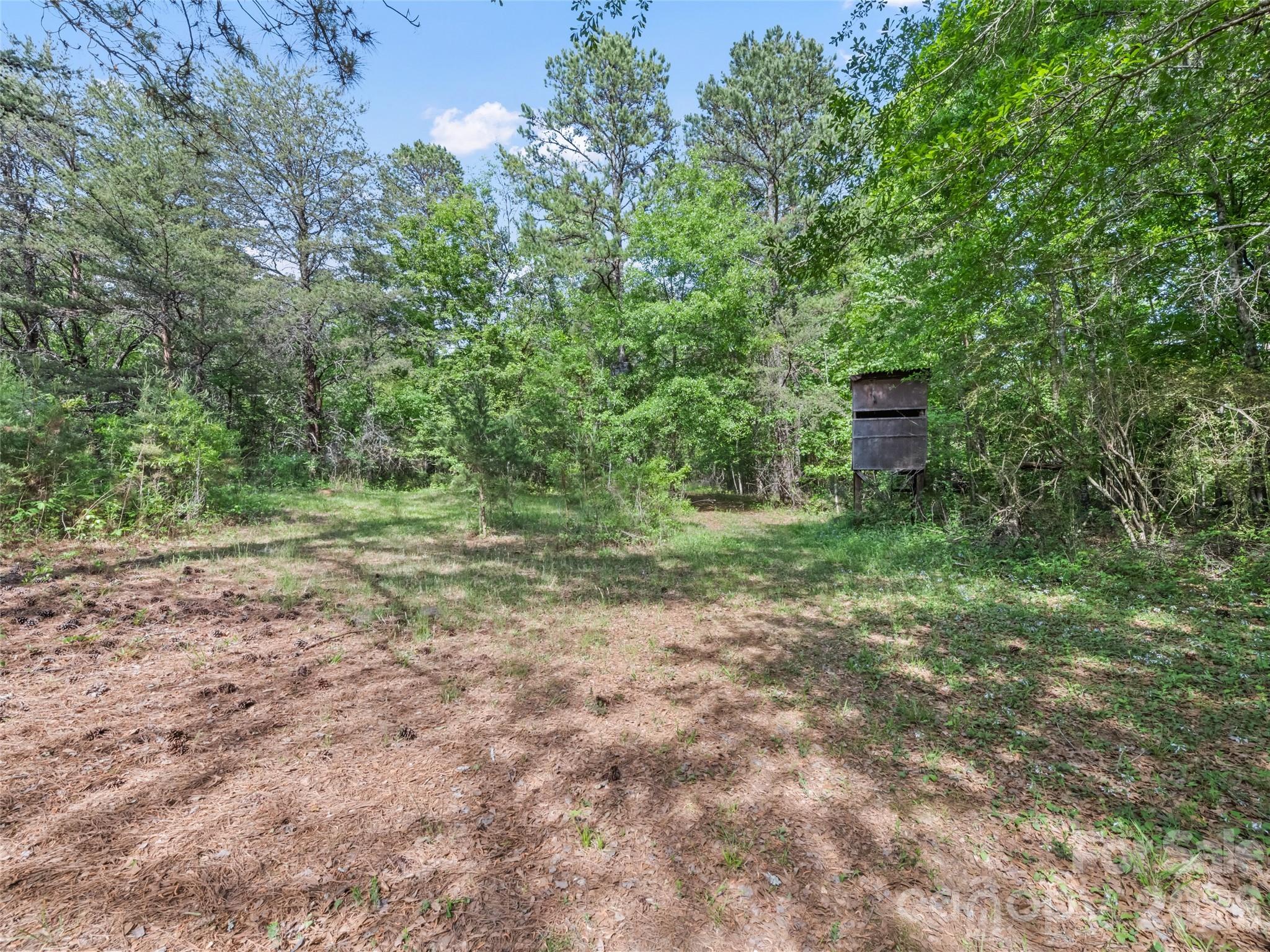 311 Soco Gap Road Ellenboro, NC 28040 - Photo 14 of 24 a view of a backyard with trees