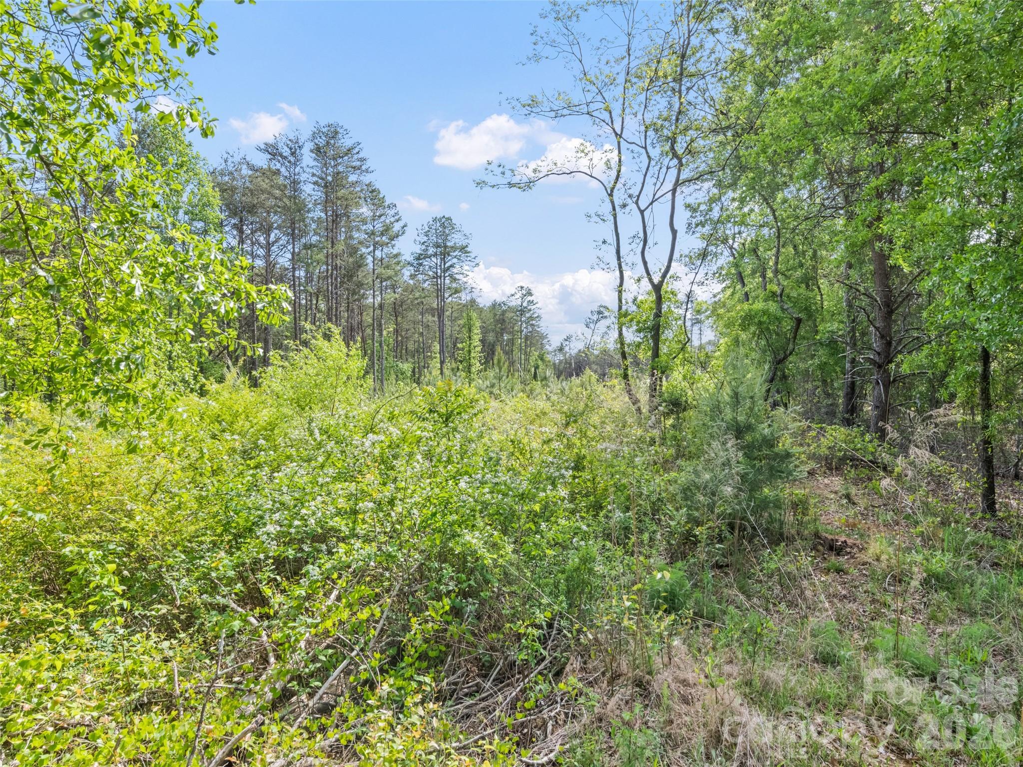 311 Soco Gap Road Ellenboro, NC 28040 - Photo 15 of 24 a view of a garden