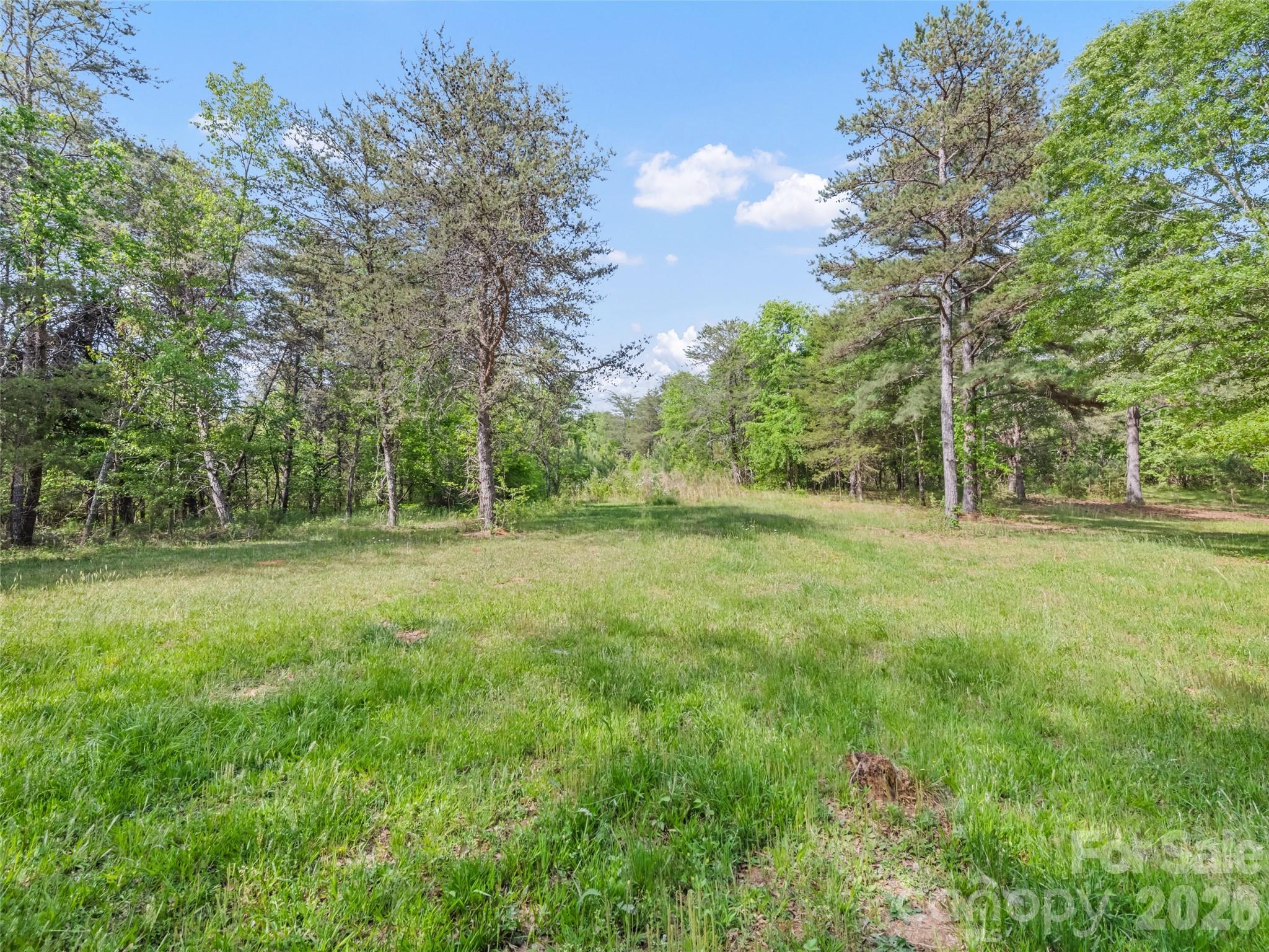 311 Soco Gap Road Ellenboro, NC 28040 - Photo 3 of 24 a view of a park with large trees