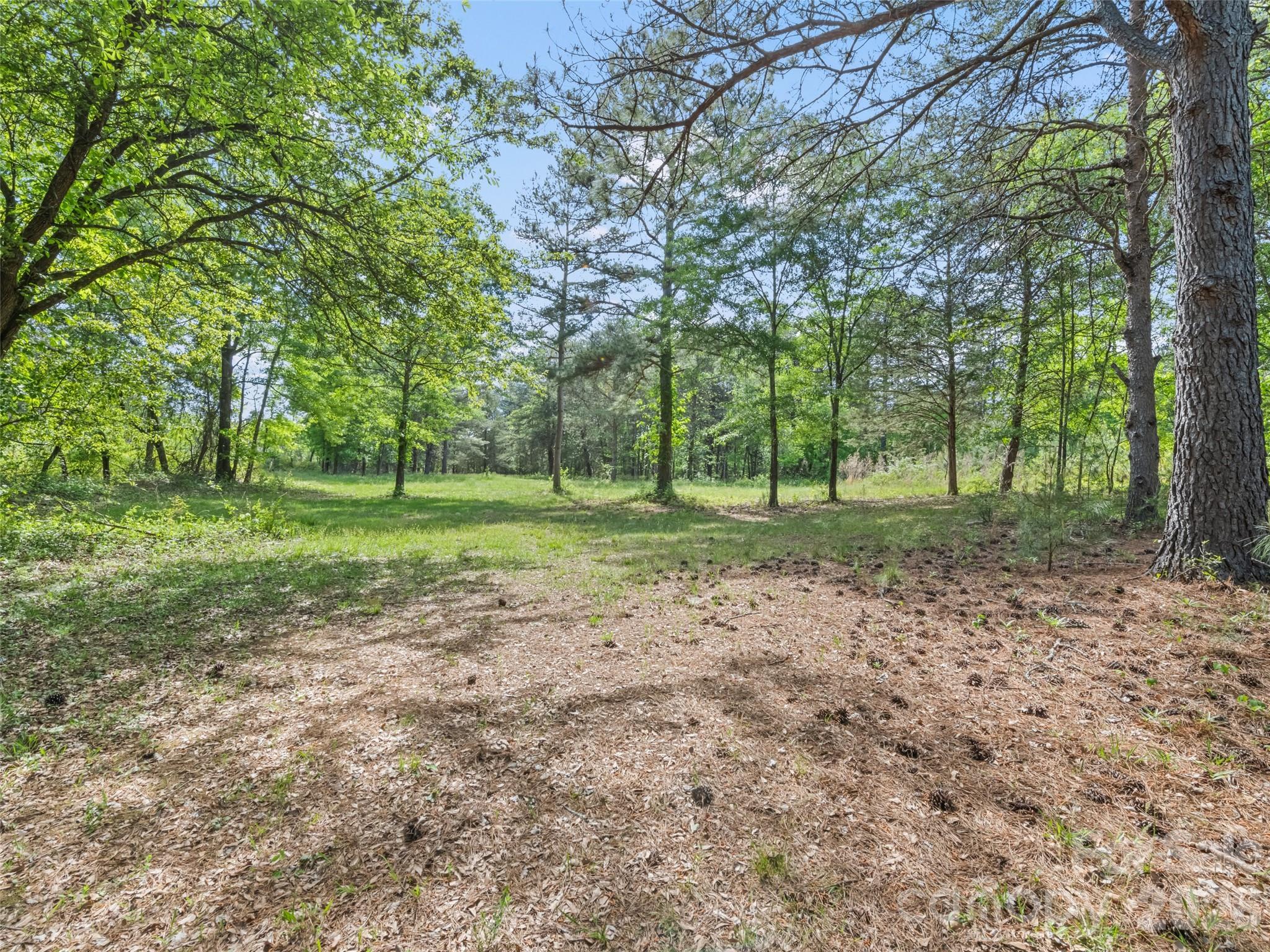 311 Soco Gap Road Ellenboro, NC 28040 - Photo 4 of 24 a view of a park with large trees