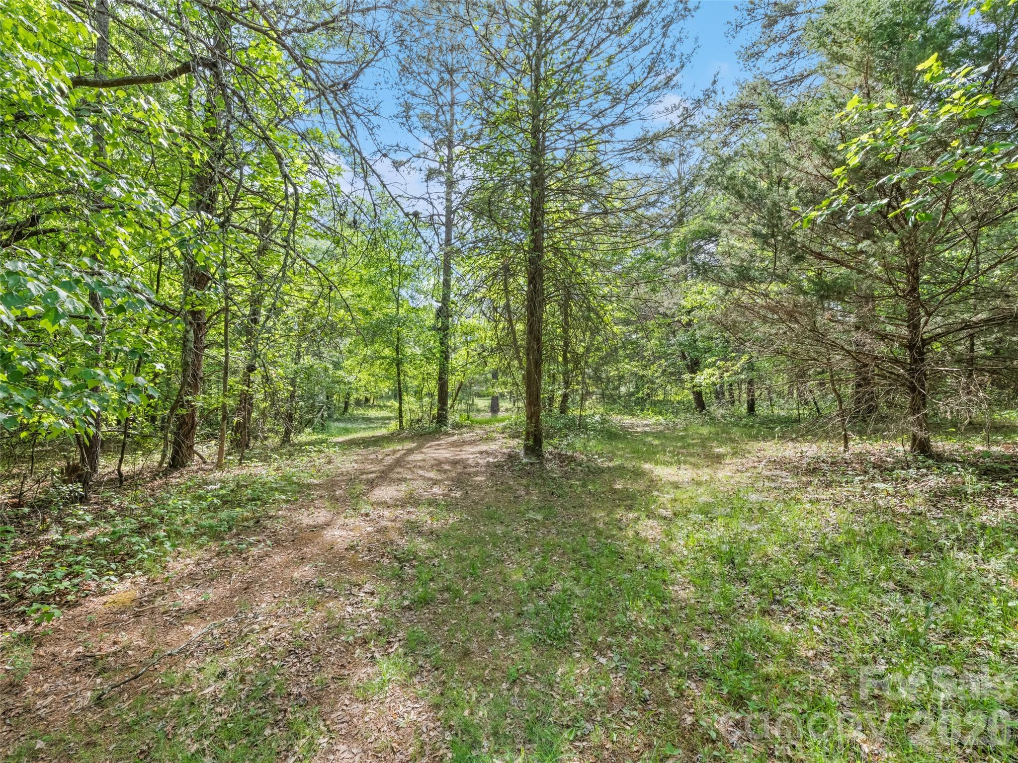 311 Soco Gap Road Ellenboro, NC 28040 - Photo 5 of 24 a view of outdoor space and yard